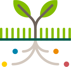 Nutrient Management Icon
